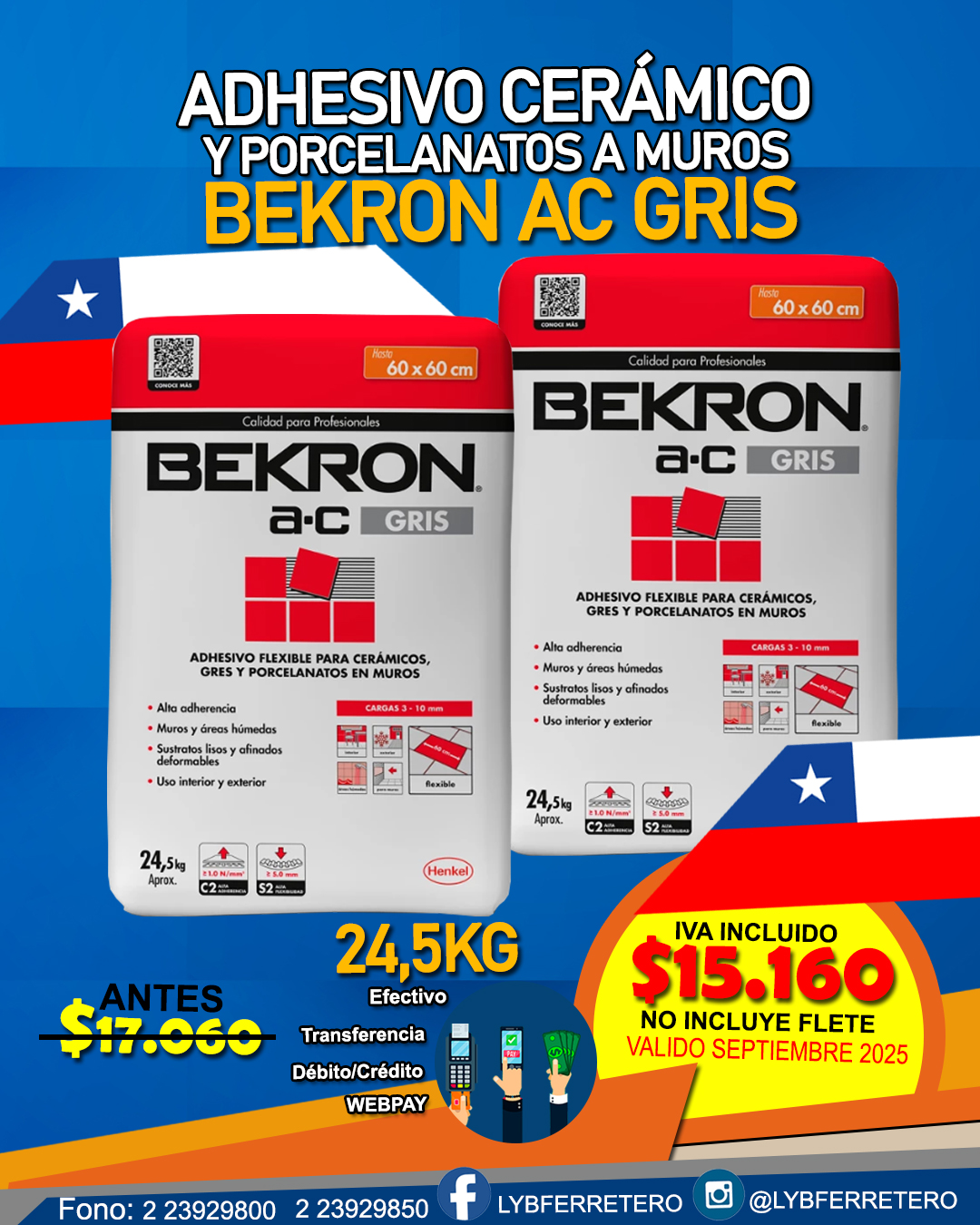 Bekron-ac polvo gris 24,5 KG 