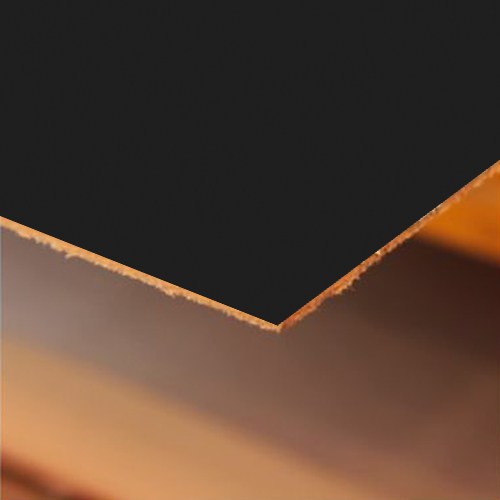 NEGRO-1