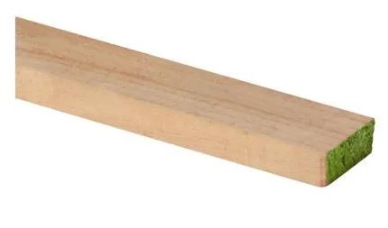 Pino Bruto 1x10 3.2 mts