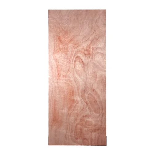 Puerta de Terciado Interior 2,00*0,70